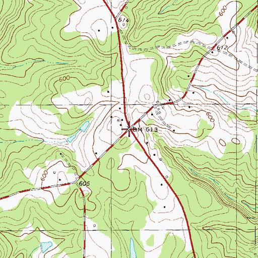 Topographic Map of Laniers Store (historical), SC