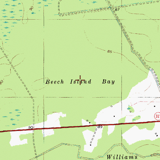 Topographic Map of Beech Island Bay, SC