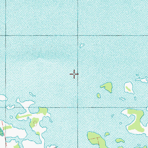 Topographic Map of Cherry Grove Swamp (historical), SC