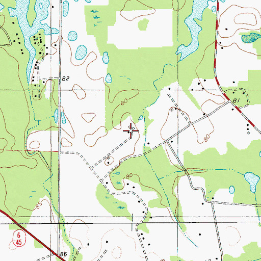 Topographic Map of Mount Pleasant Plantation Cemetery, SC