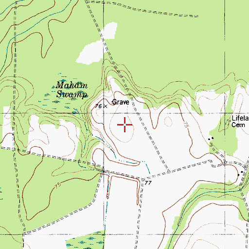 Topographic Map of Region Town (historical), SC