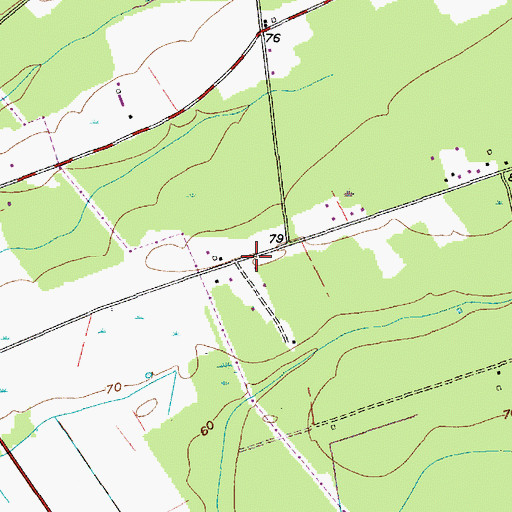 Topographic Map of Black Tom School (historical), SC