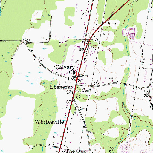Topographic Map of Calvary Cemetery, SC
