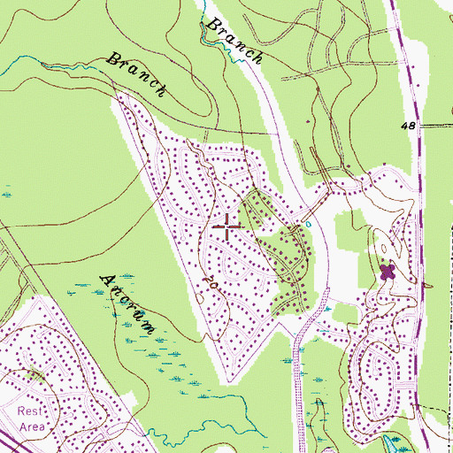 Topographic Map of College Park, SC