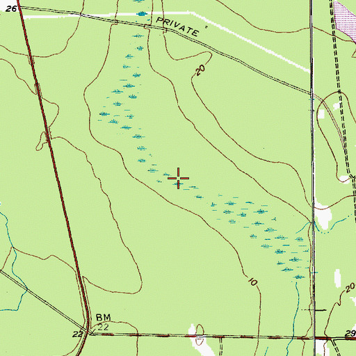 Topographic Map of Ellory Swamp, SC