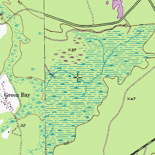 Topographic Map of King Swamp, SC
