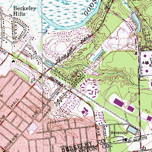 Topographic Map of Lakeview, SC
