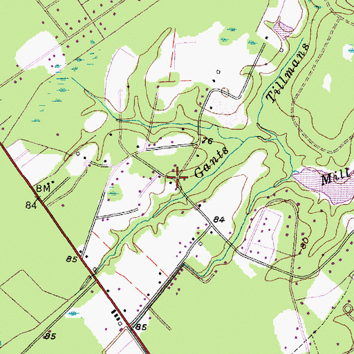 Topographic Map of Pine Forest, SC