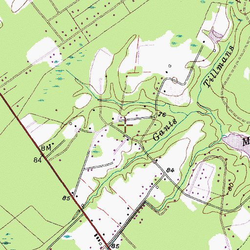 Topographic Map of Pine Forest School (historical), SC