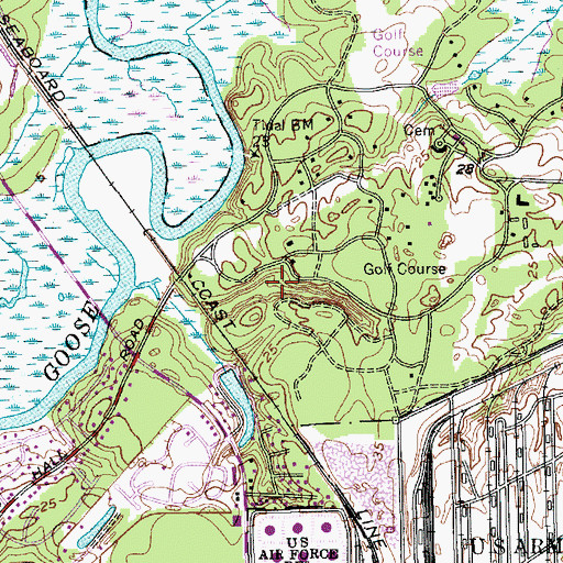 Topographic Map of Silver Cup Spring, SC