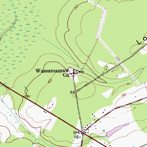 Topographic Map of Wassamassaw (historical), SC