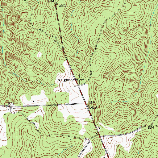Topographic Map of Birds Mountain, SC
