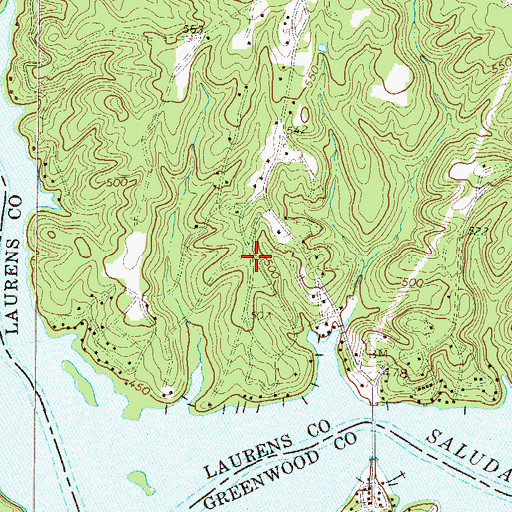 Topographic Map of Collins Lakeside Village, SC
