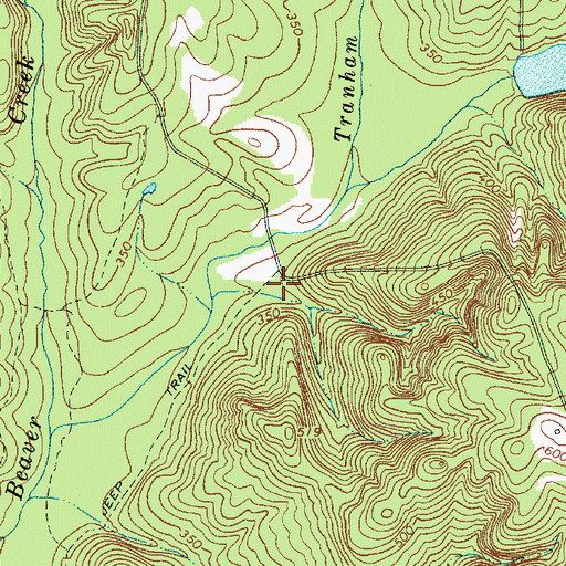 Topographic Map of Brewer Gully, SC