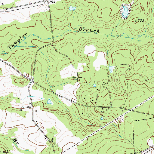 Topographic Map of Tupelo Hills, SC