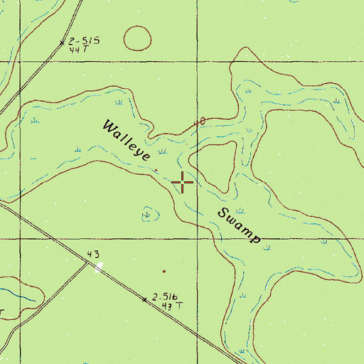 Topographic Map of Wallace Swamp, SC