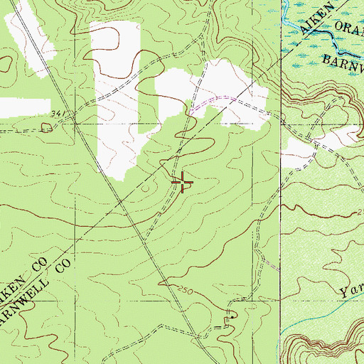 Topographic Map of Blessed Home School (historical), SC