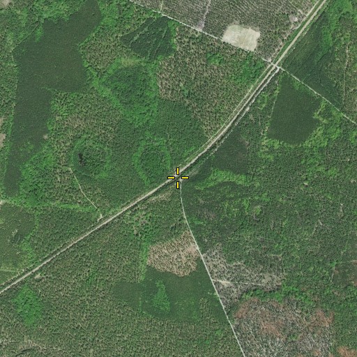 Aerial/Satellite Image of Dunbarton (historical), SC