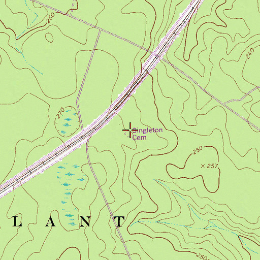 Topographic Map of Singleton Cemetery, SC