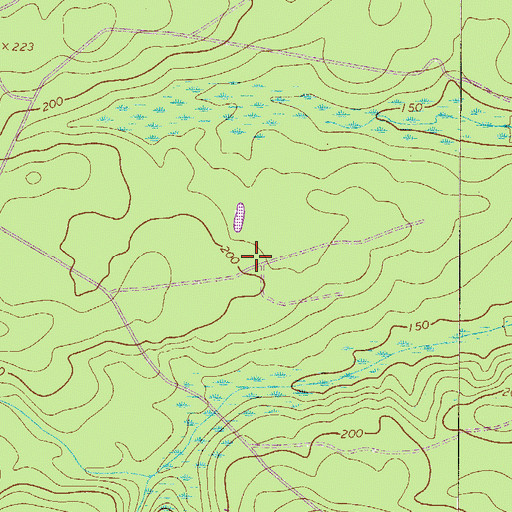 Topographic Map of Thomas Grove Church (historical), SC