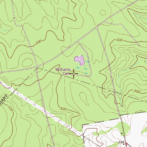 Topographic Map of Williams Cemetery, SC