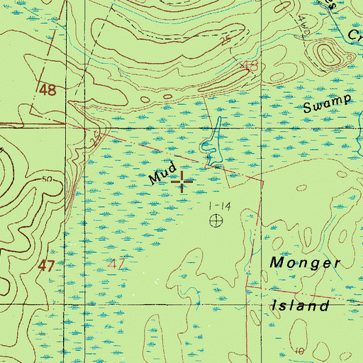 Topographic Map of Mud Swamp, AL