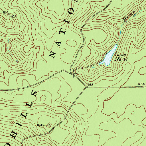 Topographic Map of Junction (historical), SC