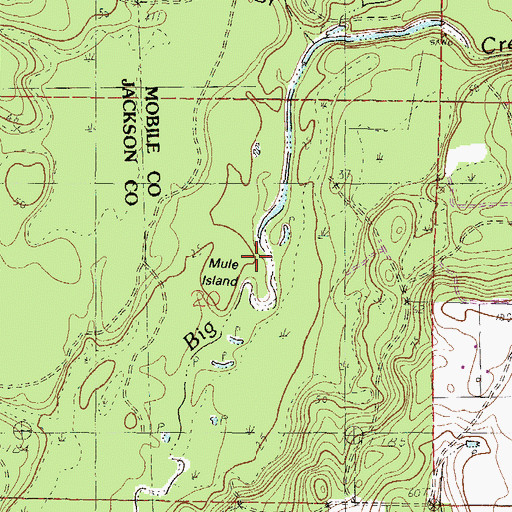 Topographic Map of Mule Island, AL