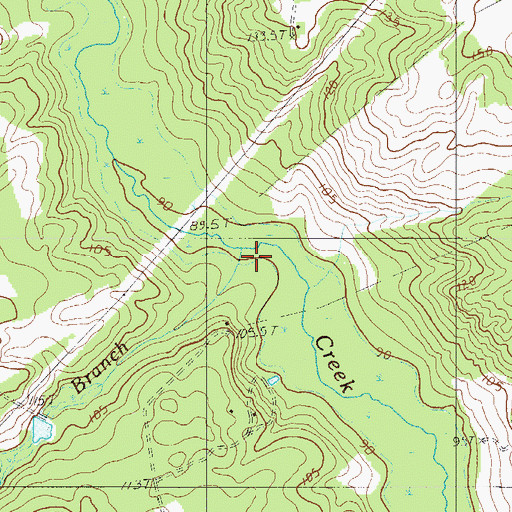 Topographic Map of Big Branch, SC