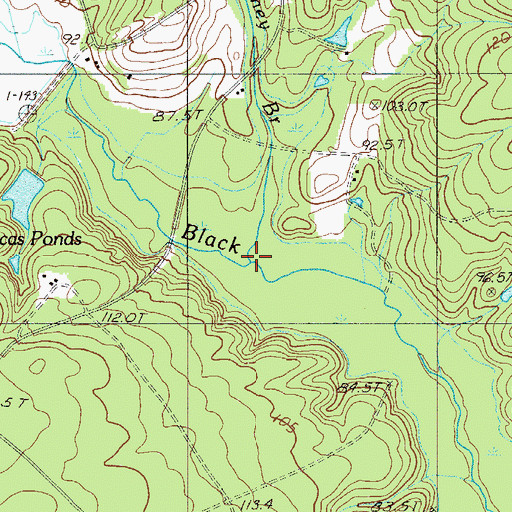 Topographic Map of Coney Branch, SC
