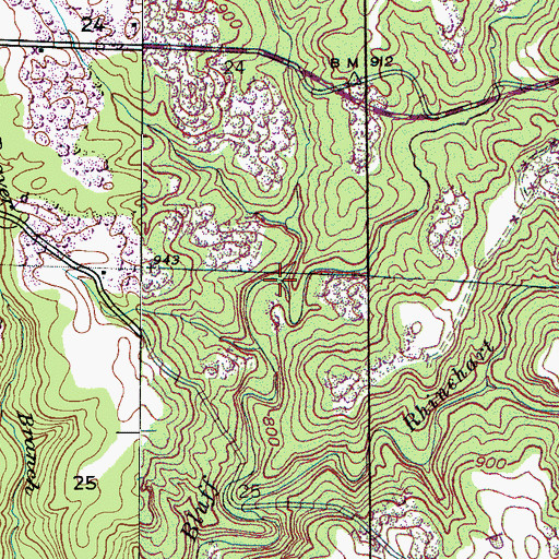 Topographic Map of Mullins Branch, AL
