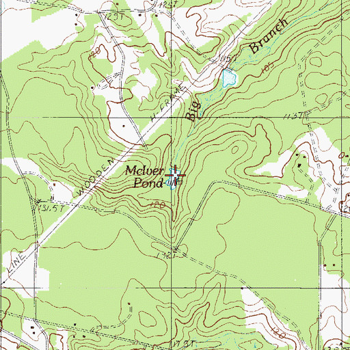Topographic Map of McIver Pond, SC