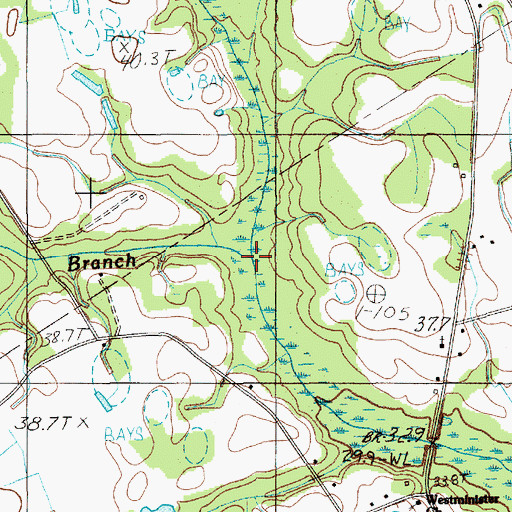 Topographic Map of Davis Branch, SC