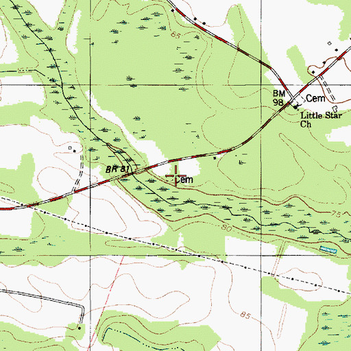 Topographic Map of Lees Cemetery, SC
