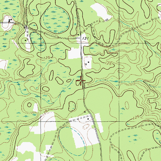 Topographic Map of Three Square Pond Church (historical), SC