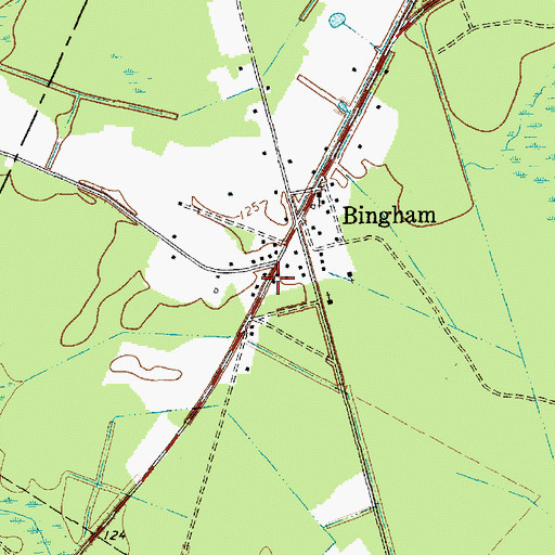 Topographic Map of Bingham School (historical), SC