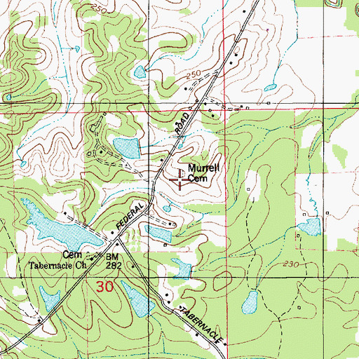 Topographic Map of Murrell Cemetery, AL