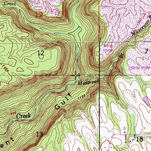 Topographic Map of Muscrowe Branch, AL