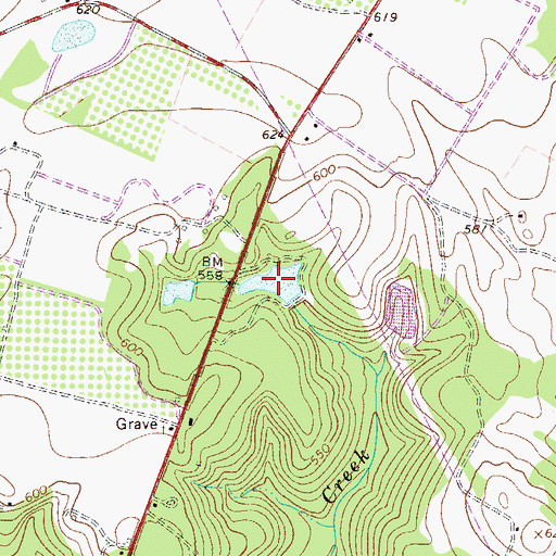 Topographic Map of Bigford Pond, SC
