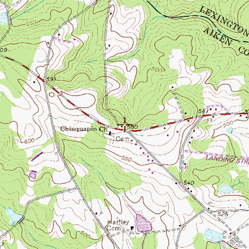 Topographic Map of Chinquapin School (historical), SC