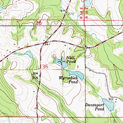 Topographic Map of Nall Pond, AL