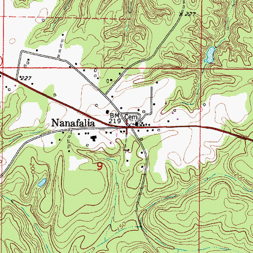 Topographic Map of Nanafalia, AL