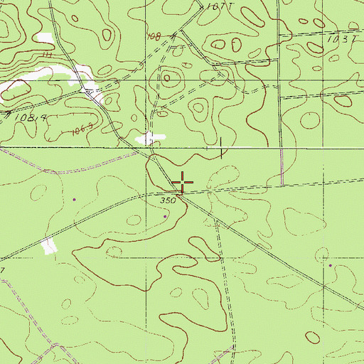 Topographic Map of Spring Branch School (historical), SC