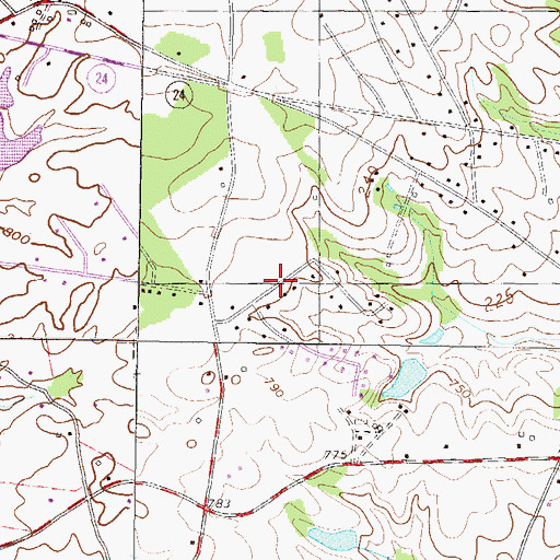 Topographic Map of Dickerson Acres, SC