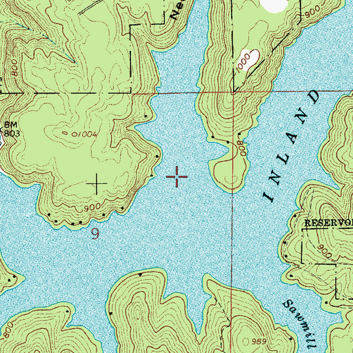 Topographic Map of Nedham Hollow, AL
