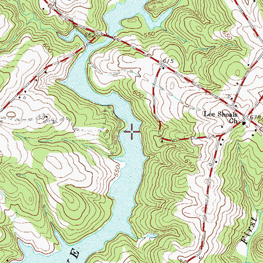 Topographic Map of Lees Shoals, SC
