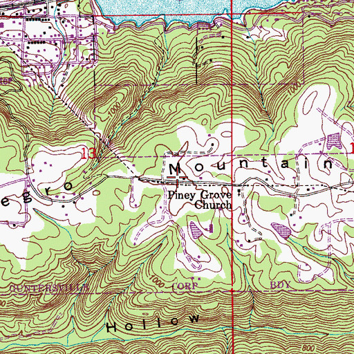 Topographic Map of Negro Mountain, AL