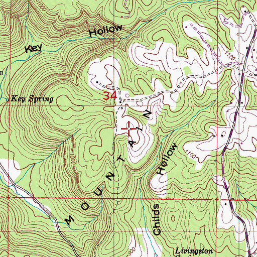 Topographic Map of Negro Mountain, AL