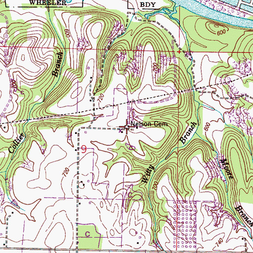 Topographic Map of Nelson Cemetery, AL