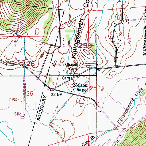 Topographic Map of Nelson Chapel Cemetery, AL